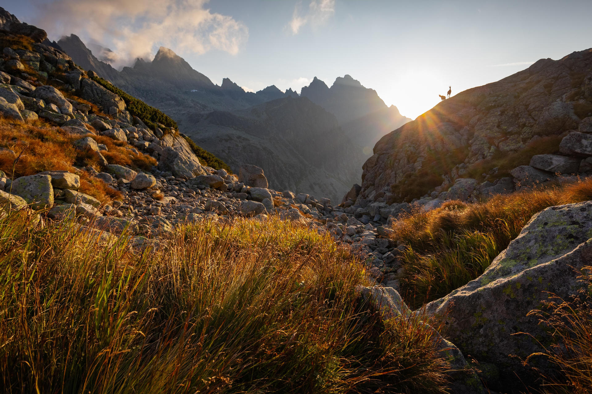Gabinet Psychoterapeutyczny Relacje - widok gór